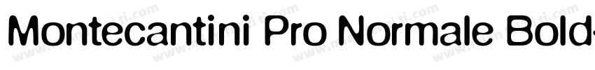 Montecantini Pro Normale Bold字体转换